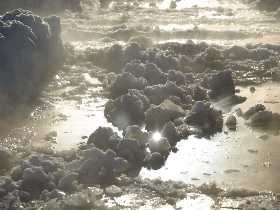 Image: Puddle of slush with chunks of snow photographed at a low angle with sunflares.